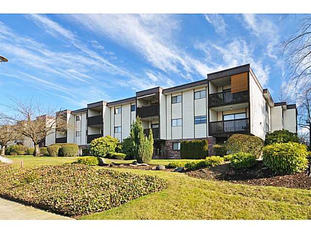 Angus Place | 705 North Rd