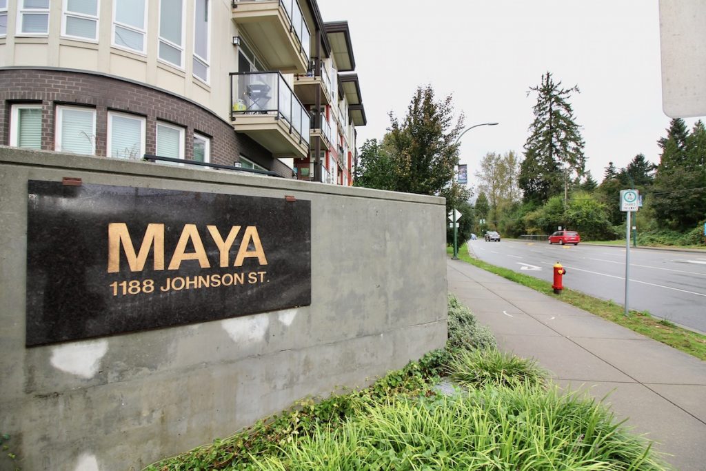 Maya