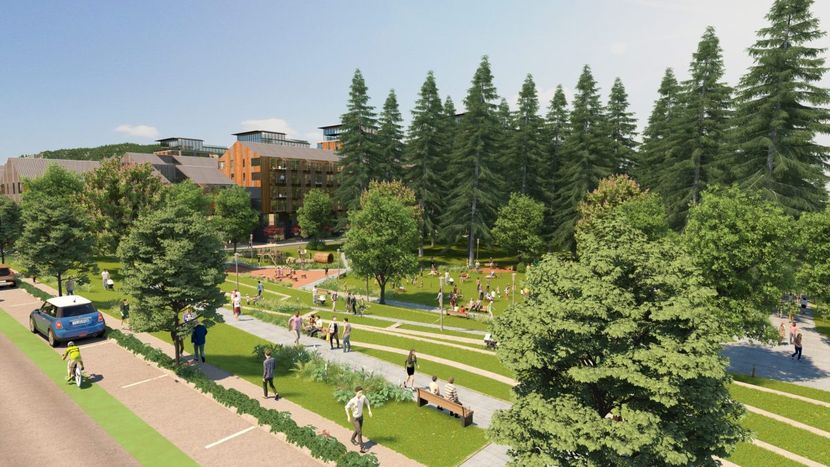 Woodland Park 4