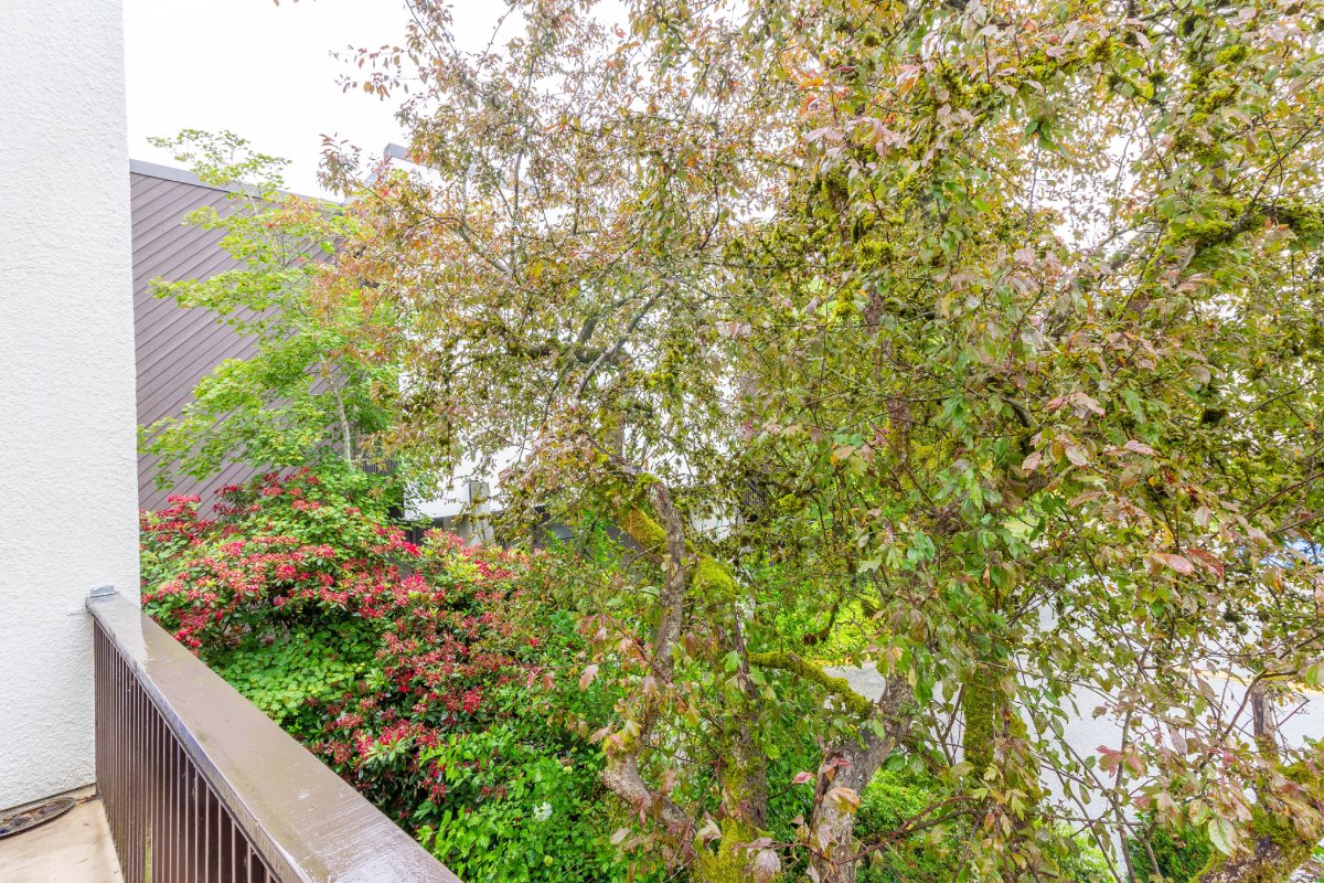 8 7315 Montecito Drive, Burnaby 6