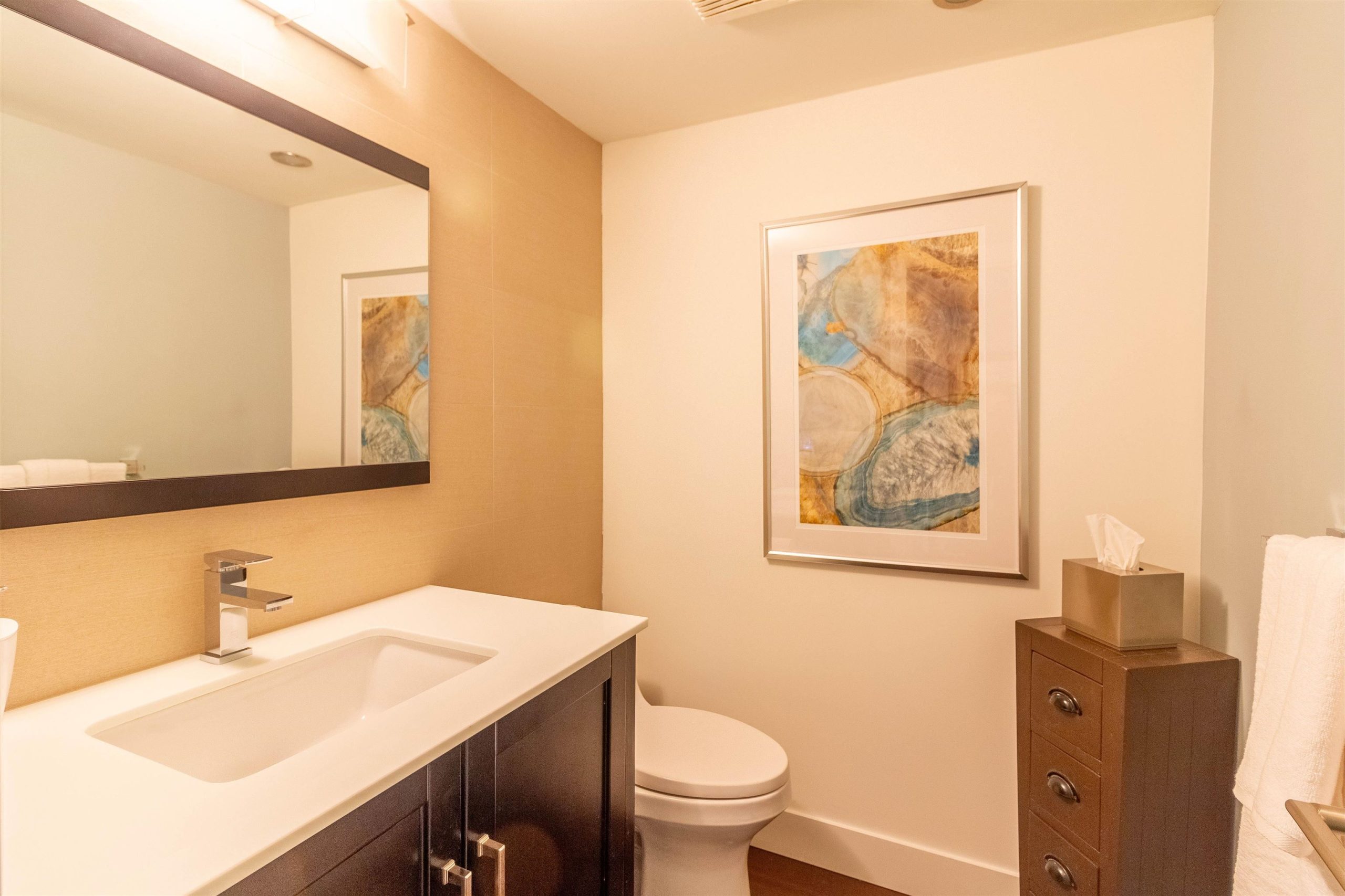 9509 WILLOWLEAF PLACE, BURNABY 17