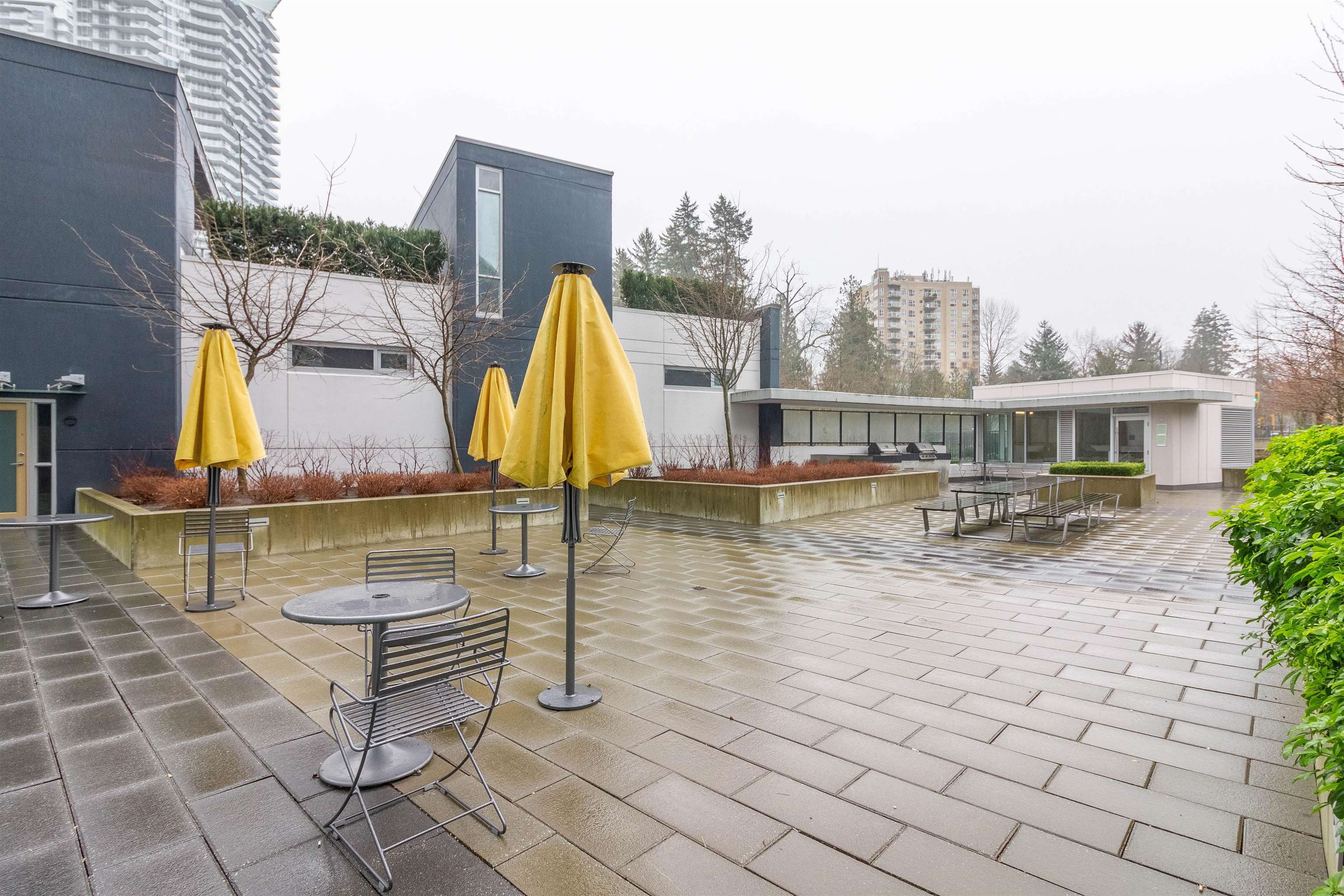 704 9887 WHALLEY BOULEVARD 26